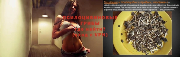 apvp Алзамай