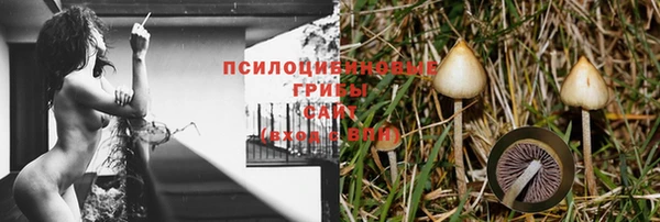 гашиш Алексин