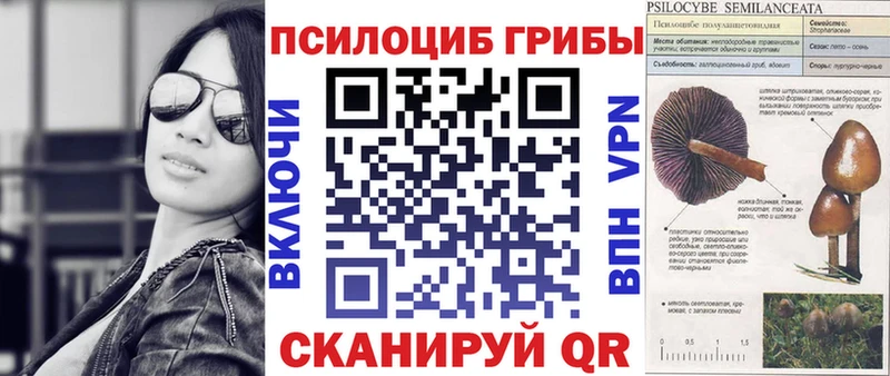Псилоцибиновые грибы Cubensis  закладки  кракен как войти  Сасово 