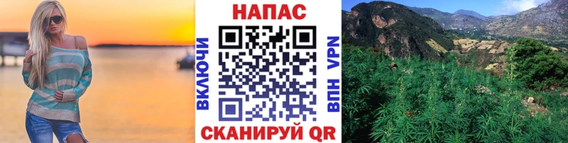 Шишки марихуана план  Сасово 